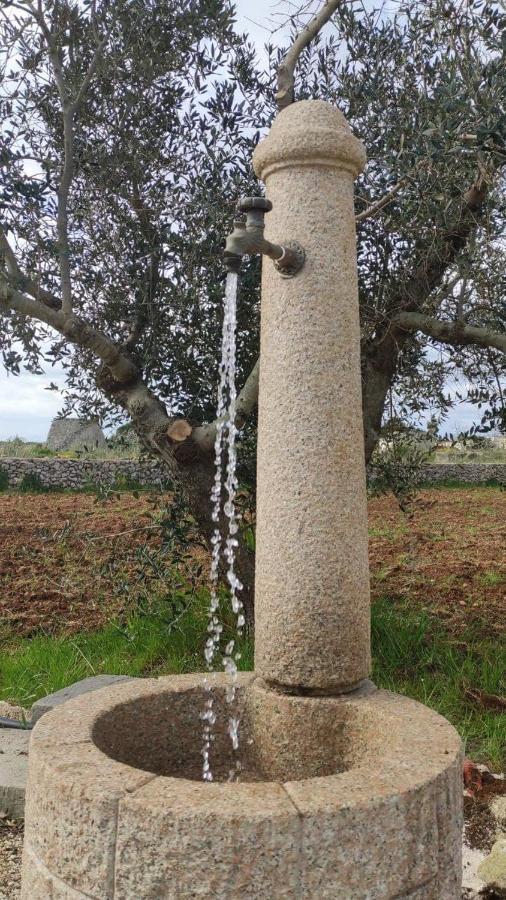 Palacca, Trullo Salentino 安德拉诺 外观 照片