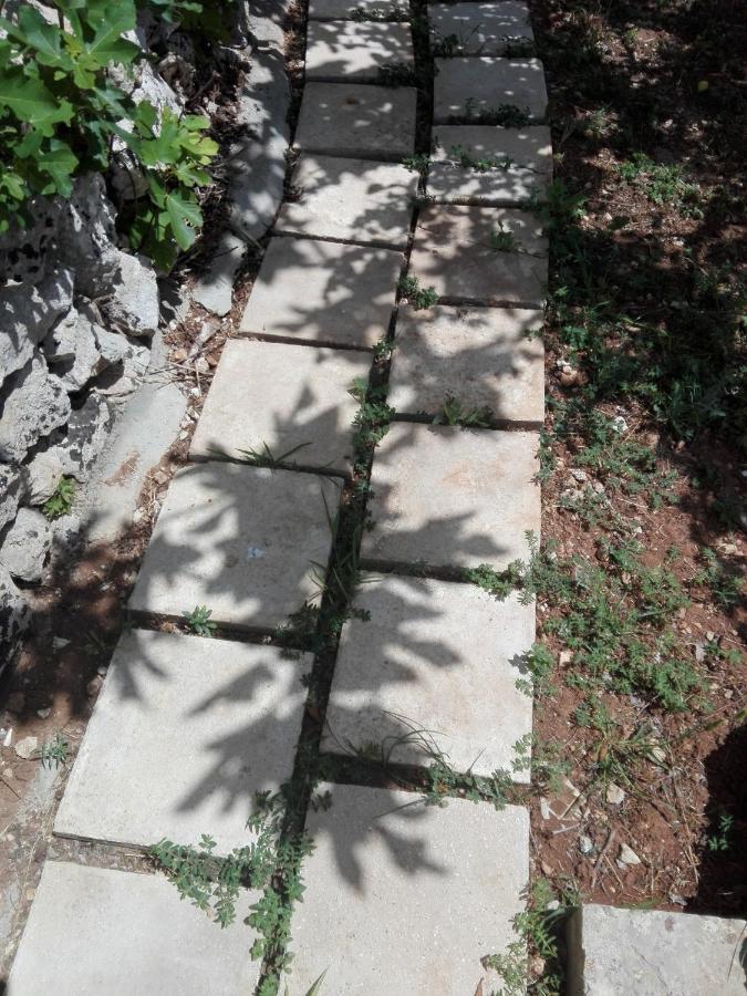Palacca, Trullo Salentino 安德拉诺 外观 照片