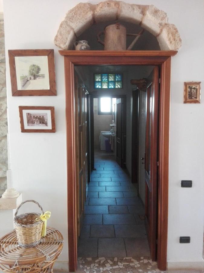 Palacca, Trullo Salentino 安德拉诺 外观 照片