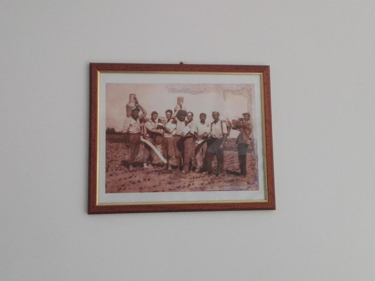 Palacca, Trullo Salentino 安德拉诺 外观 照片