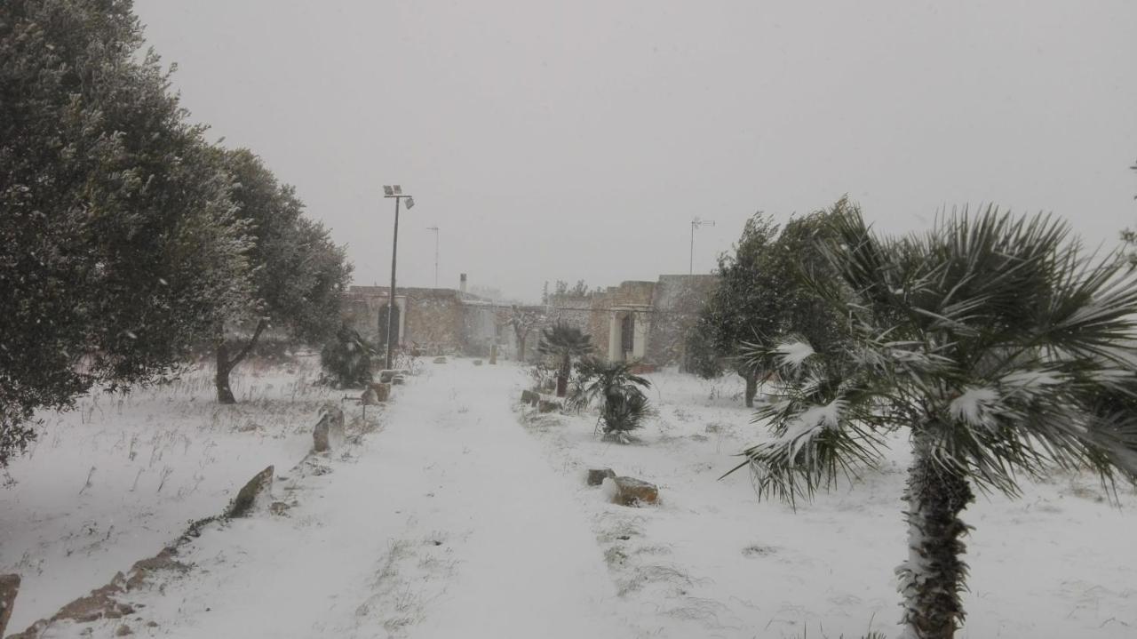 Palacca, Trullo Salentino 安德拉诺 外观 照片
