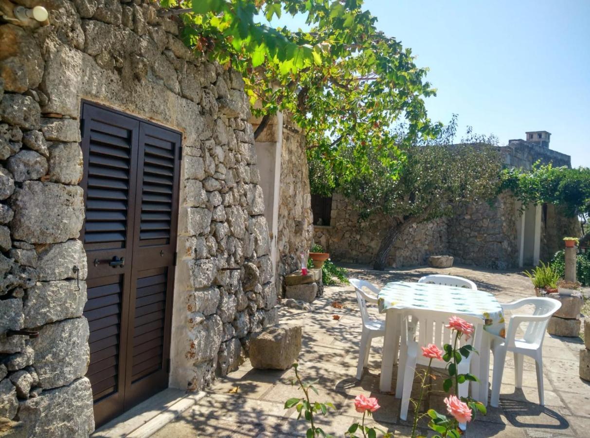 Palacca, Trullo Salentino 安德拉诺 外观 照片