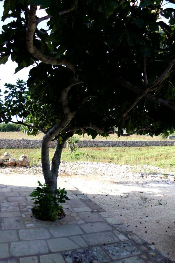 Palacca, Trullo Salentino 安德拉诺 外观 照片