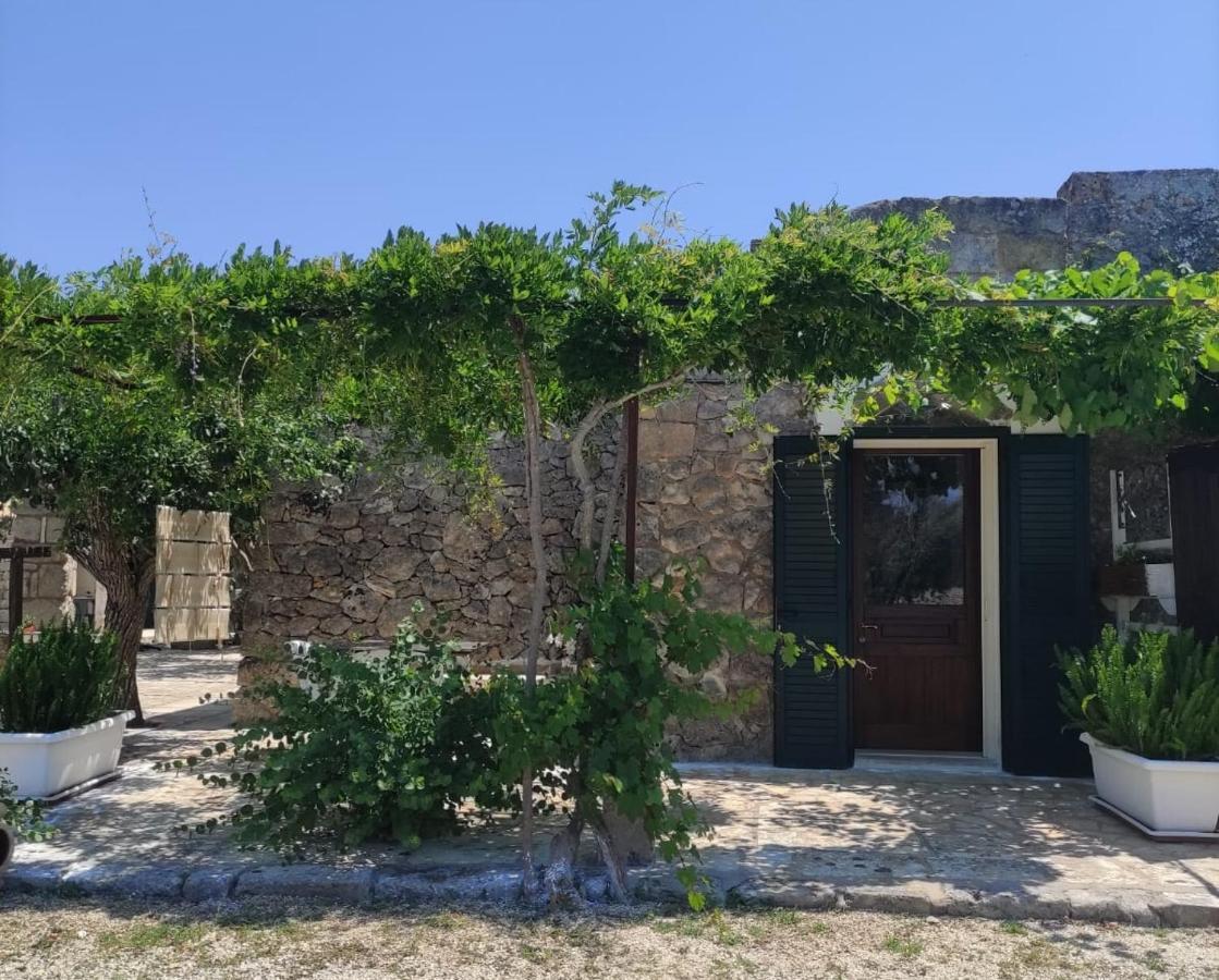 Palacca, Trullo Salentino 安德拉诺 外观 照片