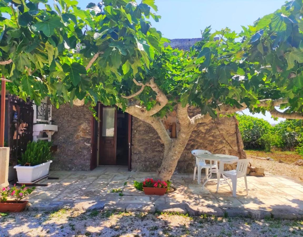Palacca, Trullo Salentino 安德拉诺 外观 照片