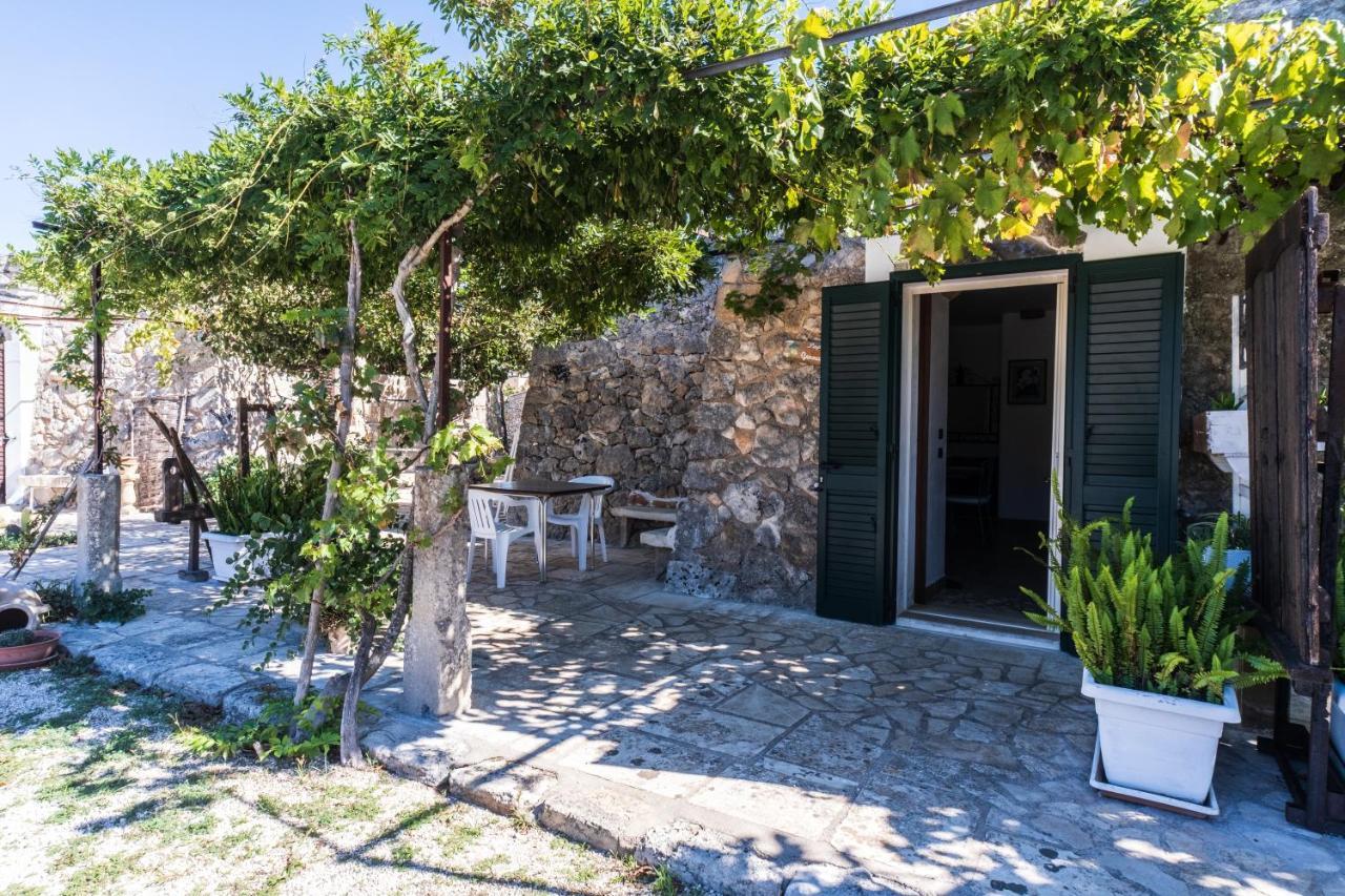 Palacca, Trullo Salentino 安德拉诺 外观 照片