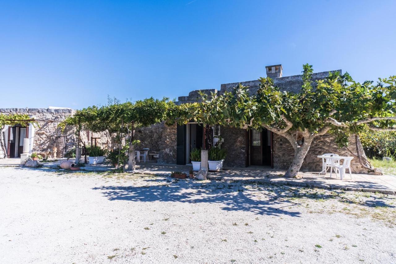 Palacca, Trullo Salentino 安德拉诺 外观 照片