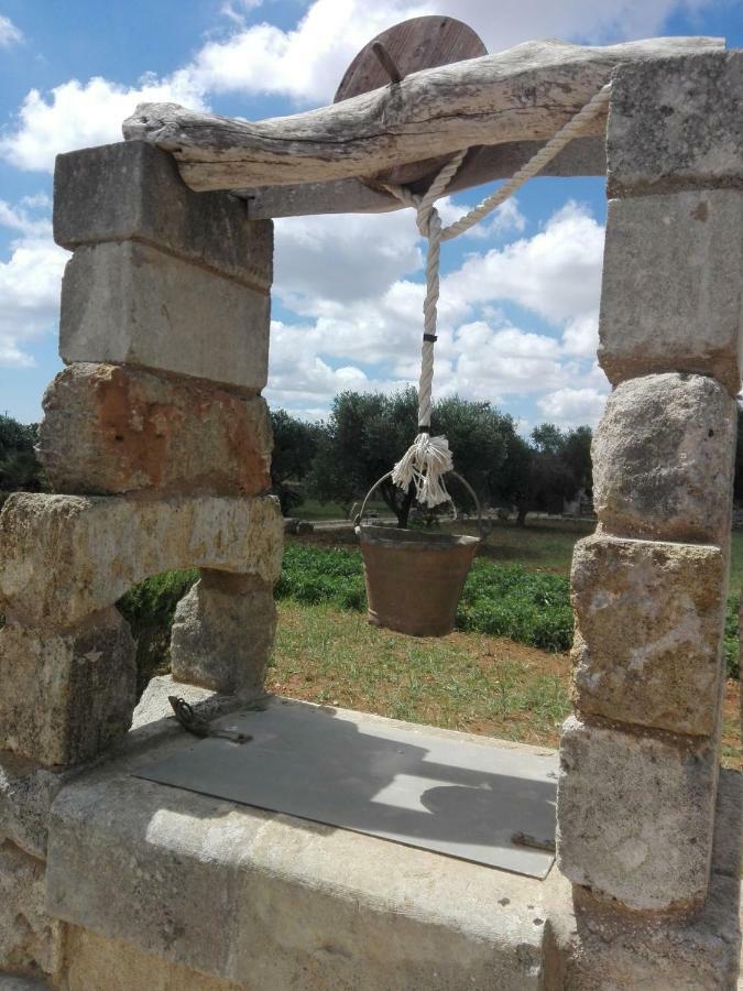 Palacca, Trullo Salentino 安德拉诺 外观 照片