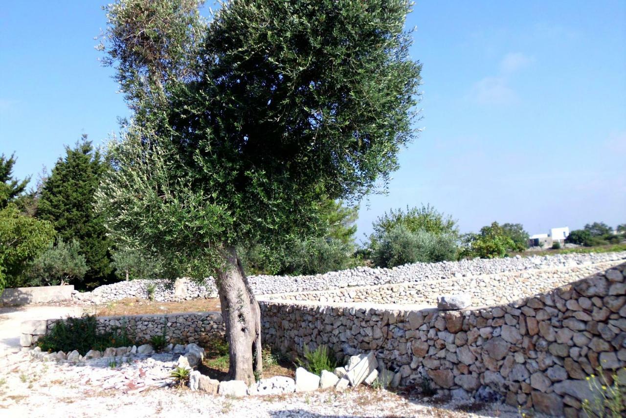 Palacca, Trullo Salentino 安德拉诺 外观 照片